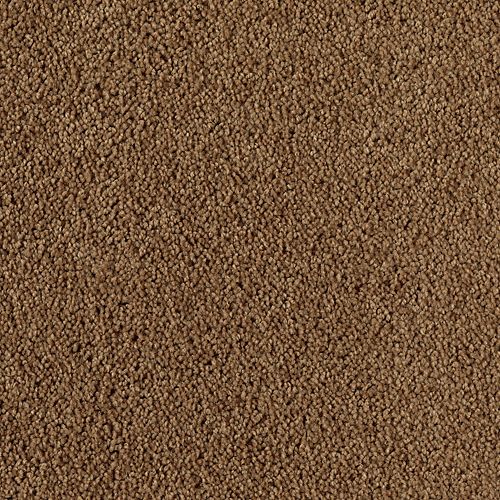 Cedar Shingle