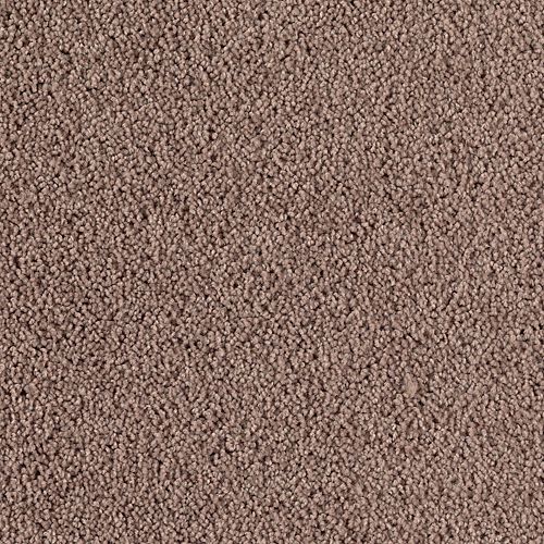 Dried Peat