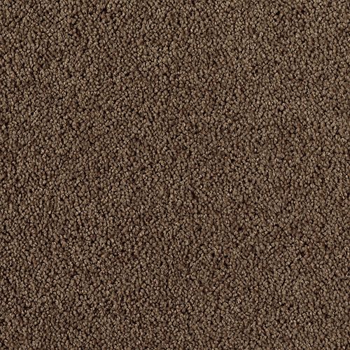 Black Walnut
