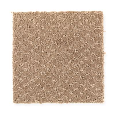 Mohawk Industries Timeless Idea Sandlot Carpet Alpharetta Georgia Bridgeport Carpets