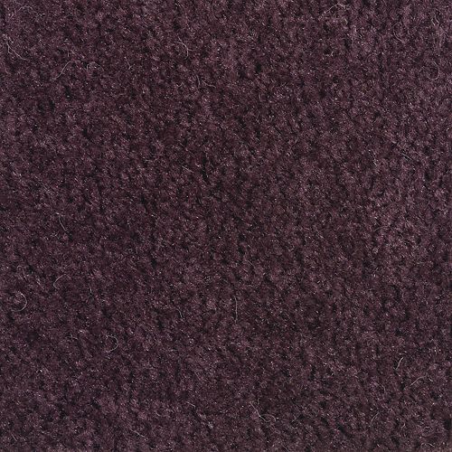 Plum Purple