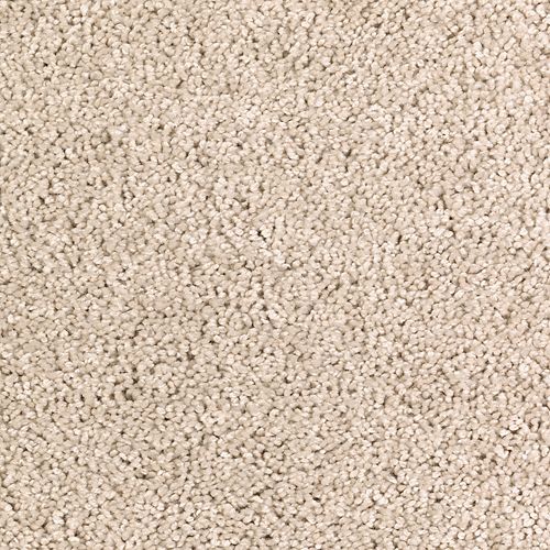 Whisper Beige Solid
