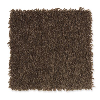 Mohawk Industries Healing Energy Polo Tan Carpet St Joseph Michigan Migala Rug Tile