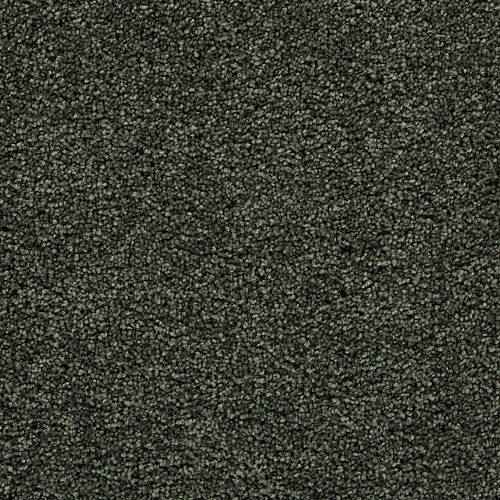 Dried Moss