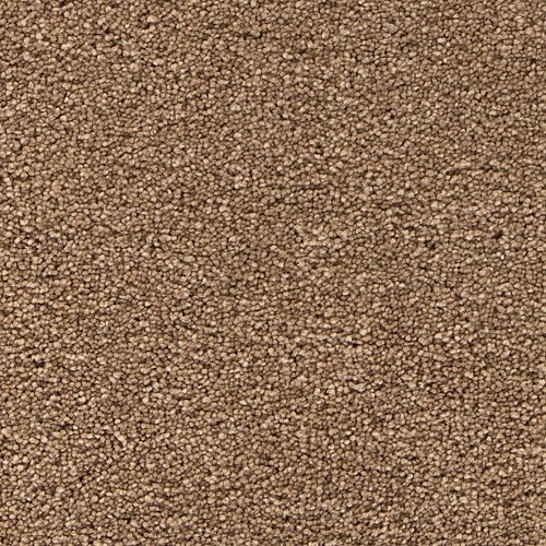 Velvet Brown