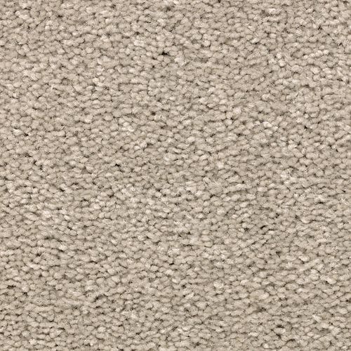 Mohawk Industries Treasure Valley Traditional Tan Carpet Houston Texas Carpet Giant