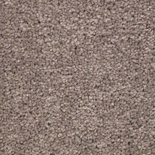 Poised Taupe
