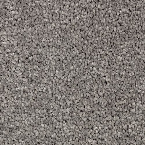 Sharkfin