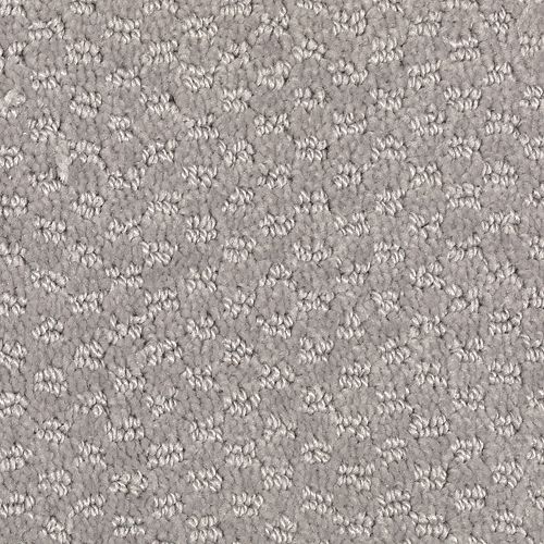 Sonoma by Mohawk Industries - Putty Gray