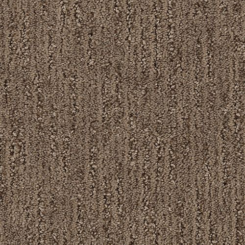 Mohawk Industries Sculptured Touch Hickory Stick Carpet Houston Texas Carpet Giant