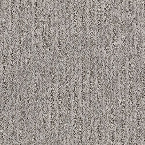 High Resolution by America's Finest Carpet Company - Cool Cinder