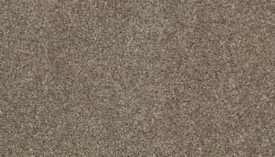 filteredCollection[selectedProductIndex]?.masterStyleNumber