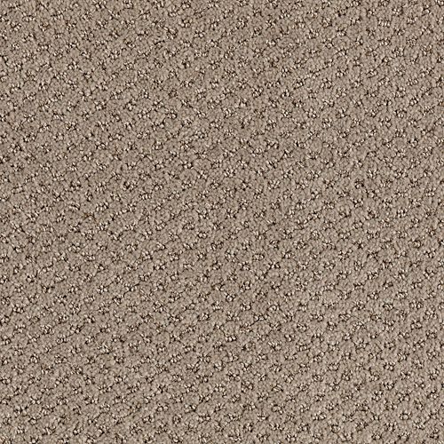 Taupe Whisper