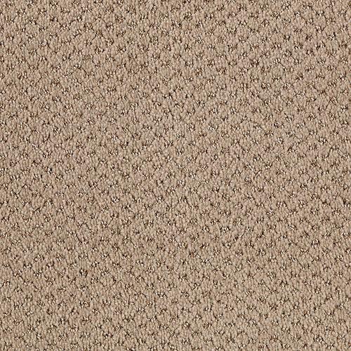 Safari Tan