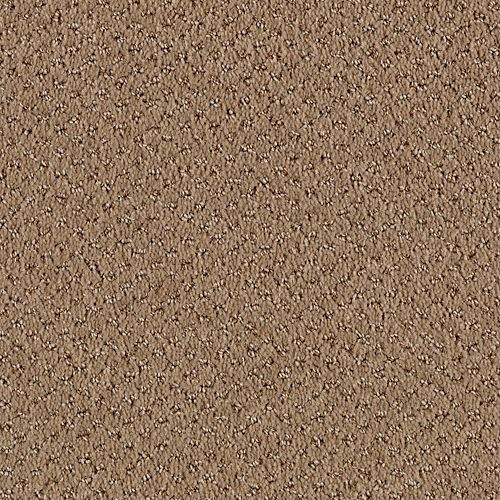 Maple Tint
