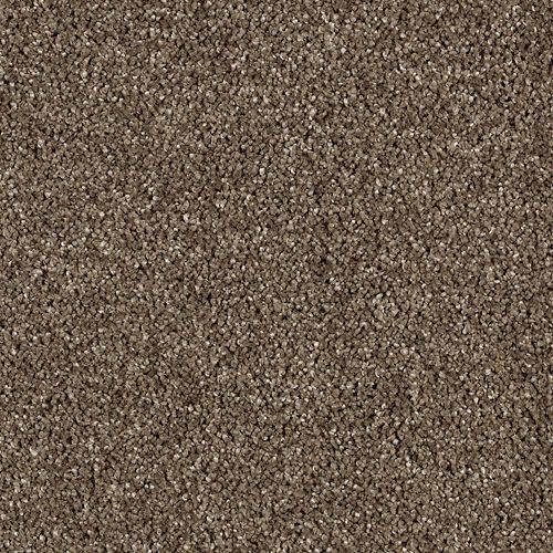 Rich Walnut