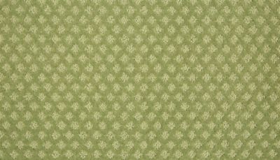 filteredCollection[selectedProductIndex]?.masterStyleNumber