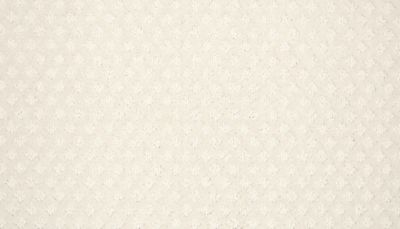 filteredCollection[selectedProductIndex]?.masterStyleNumber