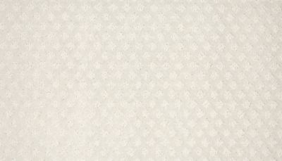 filteredCollection[selectedProductIndex]?.masterStyleNumber