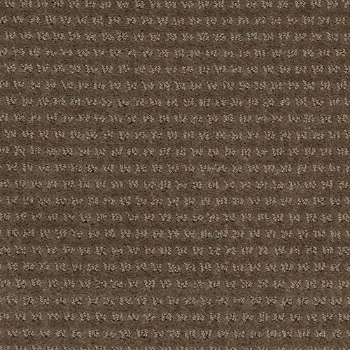 Cocoa