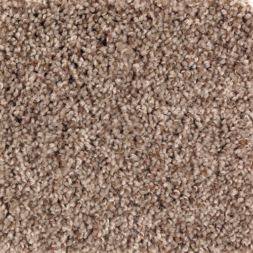 Moroccan Spice