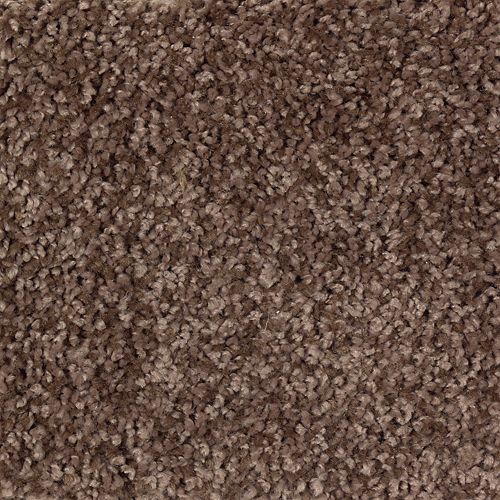 Mohawk Industries Soft Decor Stratford Brown Carpet Orlando