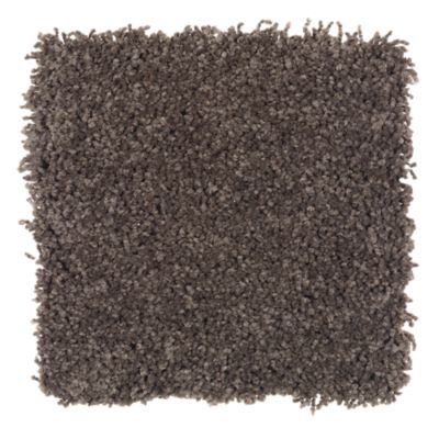 Mohawk Industries Alluring Ambition Coffee Bean Carpet Coon Rapids Mn Carpet City Express