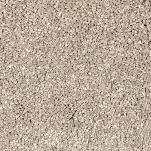 Brushed Suede