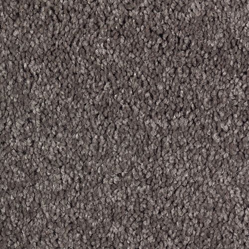 Dried Peat