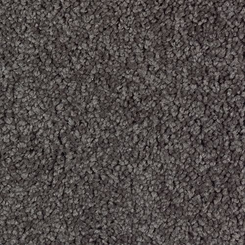 Dried Peat