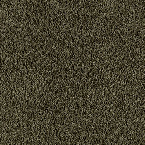 Mossy Border