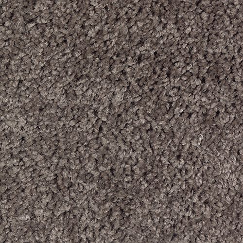 Dried Peat