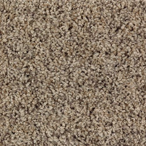 Cedar Chip
