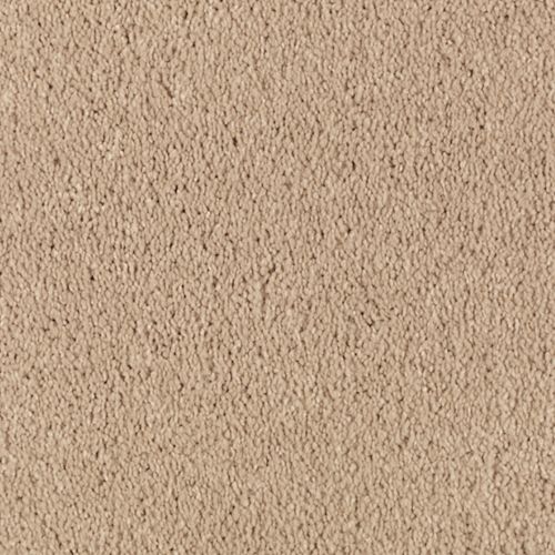 Maple Tint