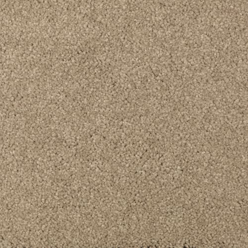 Brushed Suede
