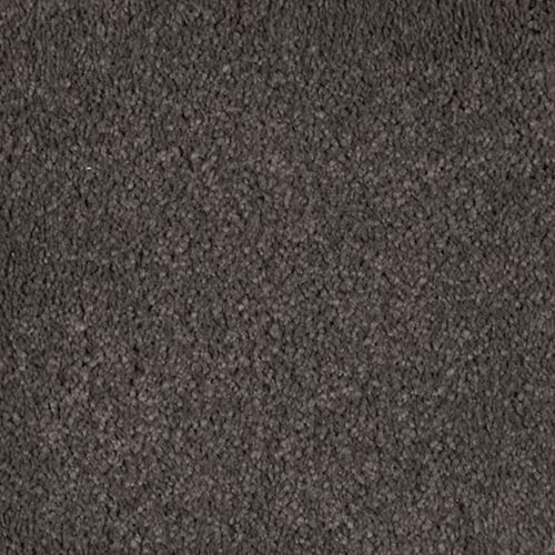 Dried Peat