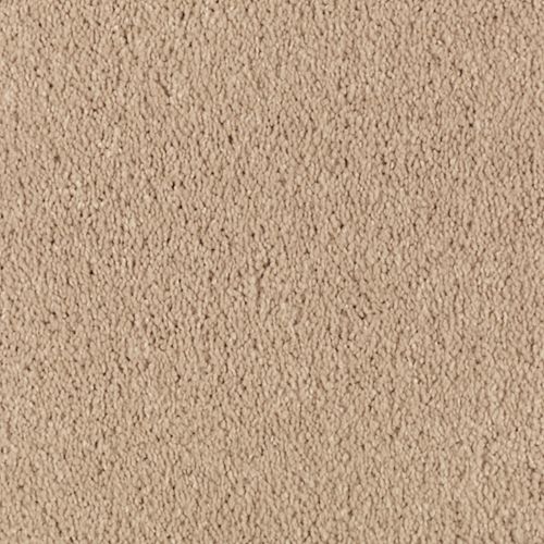 Maple Tint
