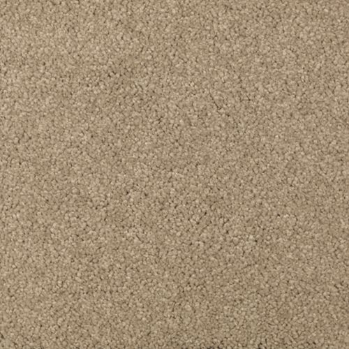 Nature's Charm II by Mohawk Industries - Brushed Suede
