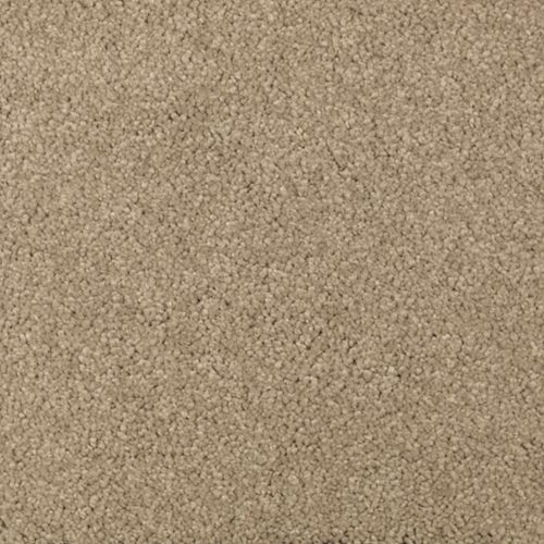 Brushed Suede