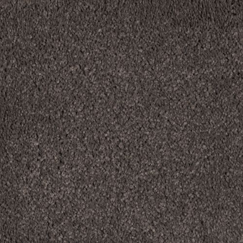 Dried Peat
