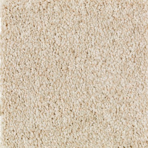 Enchanting Beige
