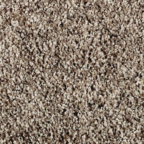 Dried Peat