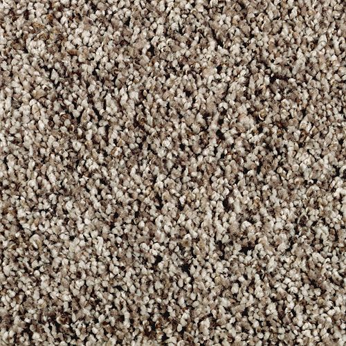 Dried Peat