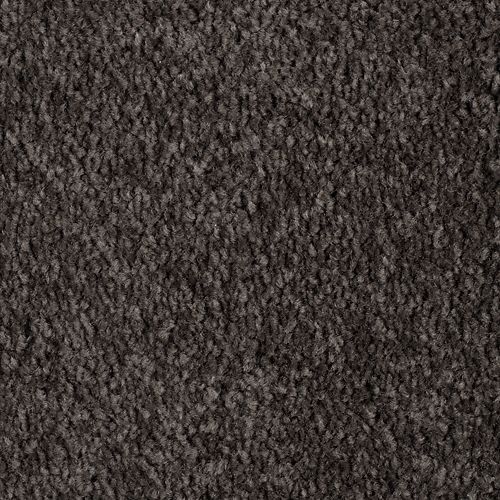 Mohawk Industries Sensible Style II Meteorite Carpet ...