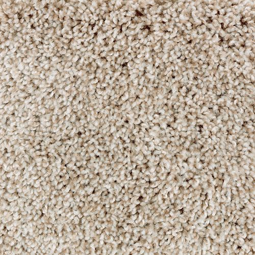 Thatch Roof