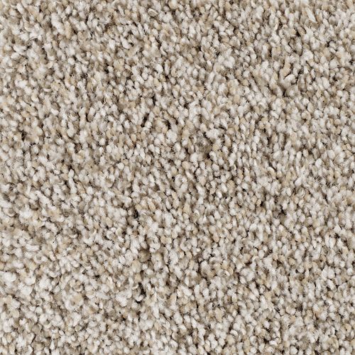 Poised Taupe