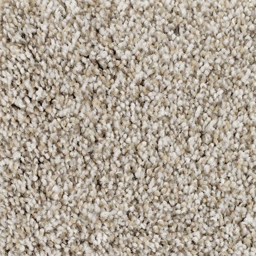 Natural View I by Mohawk Industries - Shadow Beige