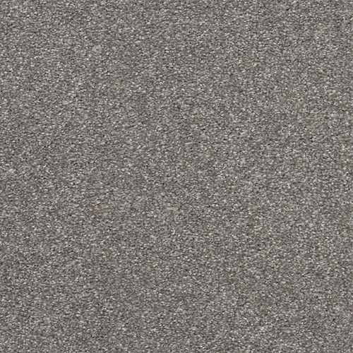 Taupe Shadow