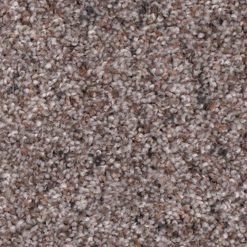 Dried Peat