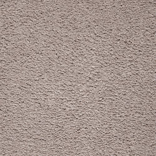 Perfect Taupe